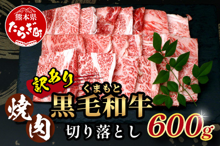 【訳あり】くまもと 黒毛和牛 焼肉 切り落とし 600g 《 熊本県 黒毛 和牛 ブランド 牛 肉 焼き肉 上質 訳アリ 》 113-0504