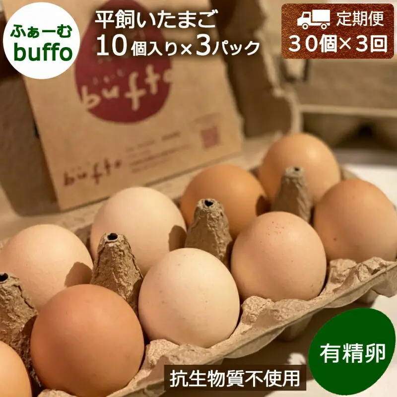 『定期便』全3回 卵 平飼い 30個 ふぁーむbuffo 毎月届く定期便_FA090_001s3