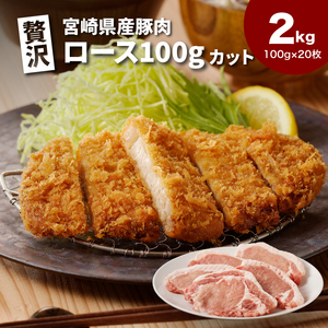 贅沢宮崎県産豚肉ロース100gカット20枚　 K16_0150