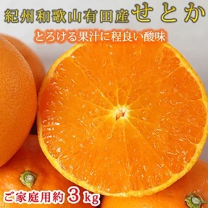 とろける食感!ジューシー柑橘 せとか 約3kg 【家庭用 訳あり】｜みかん ミカン 柑橘 果物 くだもの フルーツ せとか 甘い 先行予約 国産 産地直送 人気 美浜町
