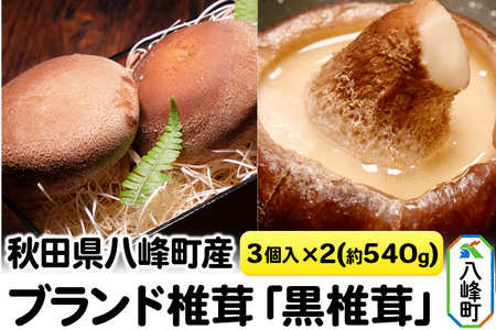 しいたけ 秋田県八峰町産 ブランド椎茸「黒椎茸」3個入×2パック（約540g）