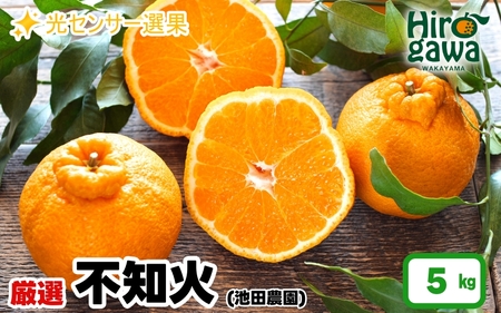 不知火 （ しらぬい ） 5kg+250g（痛み補償分） 厳選 光センサー / デコポン 高級 甘い 和歌山 柑橘 ※2027年2月上旬～4月中旬に順次発送 ※北海道・沖縄・離島への配送不可 【ikd010-p-5E】