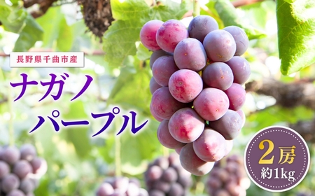 【2026年先行予約】ぶどう 家庭用 ナガノパープル 約1kg 2房 |ナガノパープル