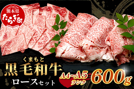 A4・A5 くまもと黒毛和牛 ロース セット 計600g ( すき焼き 300g / 焼肉 300g ) 本場 熊本県 ブランド 牛 黒毛 和牛 厳選 肉 上質 113-0506