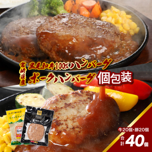 宮崎県産黒毛和牛100%ハンバーグ個包装(20個/冷凍)・ 宮崎県産ポークハンバーグ個包装(20個/冷凍)　K16_0158