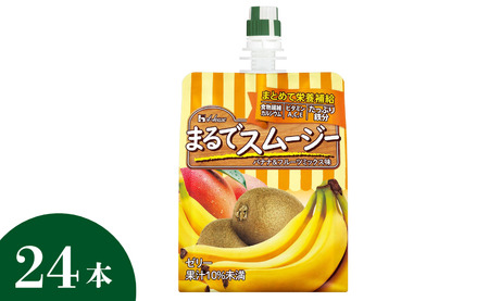 ハウス まるでスムージー バナナ＆フルーツミックス味150gパウチ×1ケース（全24本）| C102