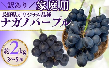 【2026年先行予約】訳あり ナガノパープル 家庭用 約2kg（4~6房）※最低1.8kg以上 ｜ ぶどう ぶどう
