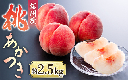 A-114【2026年発送先行予約】桃　あかつき 約2.5kg【6～10玉】※2026年発送先行予約分※　農家直送　もも