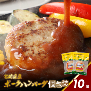 宮崎県産 ポークハンバーグ個包装(10個/冷凍)　K16_0163