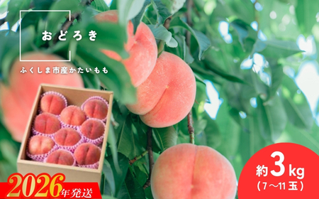 No.2988 固い桃 おどろき 約3kg(7～11玉)【2026発送】
