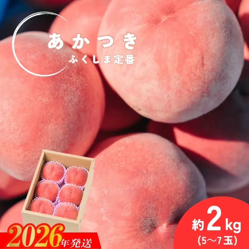 No.2989 福島定番 福島県福島市産もも「あかつき」約2kg(5～7玉)【2026年発送】