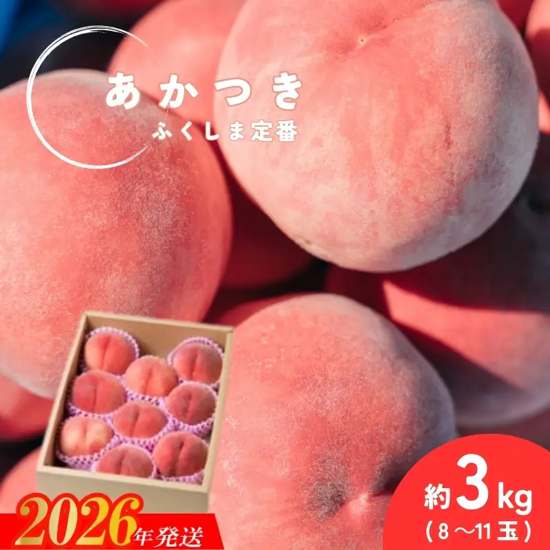 No.2990 福島定番 福島県福島市産もも「あかつき」約3kg(8～11玉)【2026年発送】