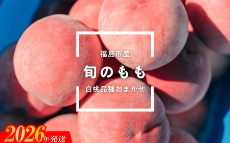 No.2997 福島県福島市産 旬のもも(白桃・品種おまかせ) 約1kg(3～6玉)【2026年発送】
