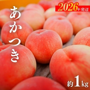 No.3008 桃（あかつき）約1kg【2026年発送】