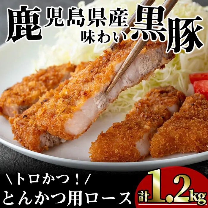 かごしま 味わい 黒豚 とんかつ ロース【トロかつ】(計1.2kg・200g×6枚)【KNOT】A559