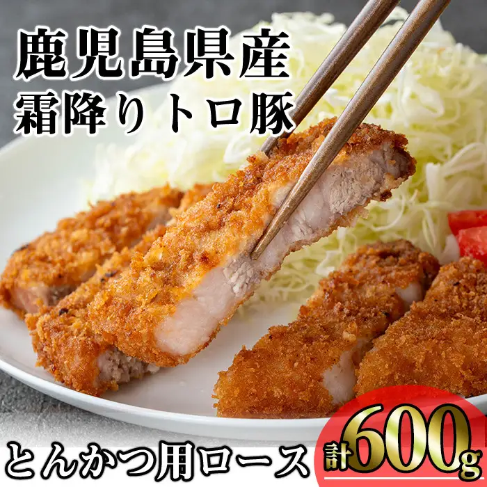 鹿児島県産 豚肉 霜降り トロ豚 とんかつ ロース(計600g・200g×3枚)【KNOT】 A570