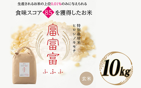 富山県ブランド米 富富富 玄米 10kg ふふふ ブランド米 国産 米 お米 日本米 ギフト 贈り物 備蓄 防災 食品 陽咲玲 はるざれ F6T-947