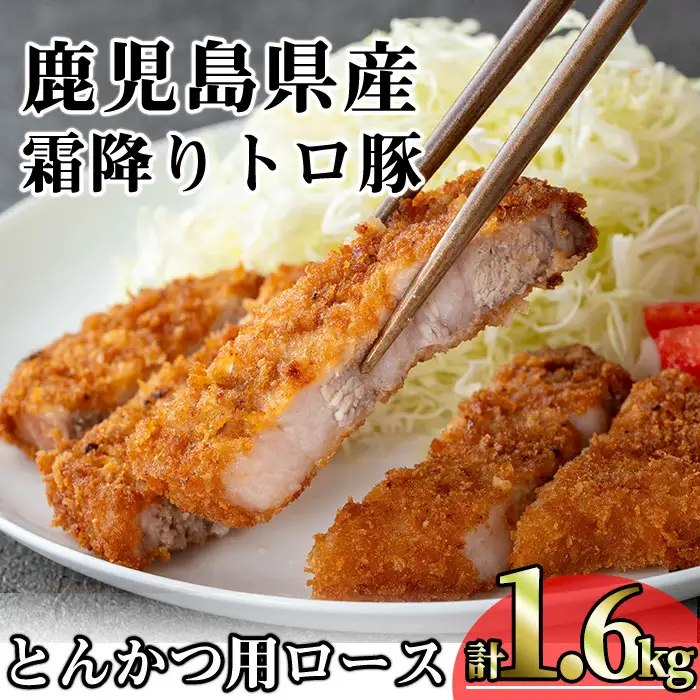 鹿児島県産 豚肉 霜降り トロ豚 とんかつ ロース(計1.6kg・200g×8枚)【KNOT】 A572-v01