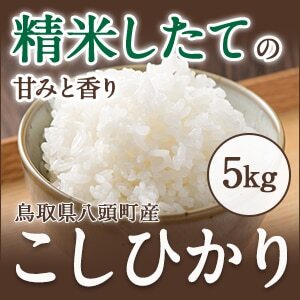 Y308  特別栽培米コシヒカリ5kg