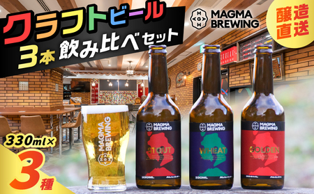 クラフト ビール 3本 飲み比べ セット K267-001 酒