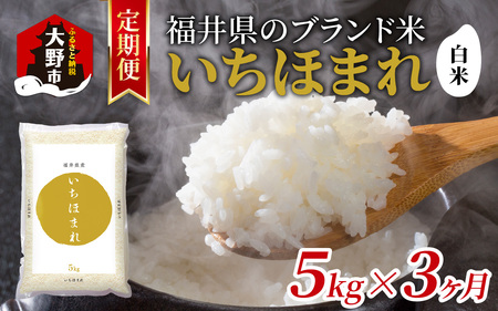 【3ヶ月定期便】【令和7年産】福井県産 いちほまれ（白米）5kg×3回　計15kg[C-097001]