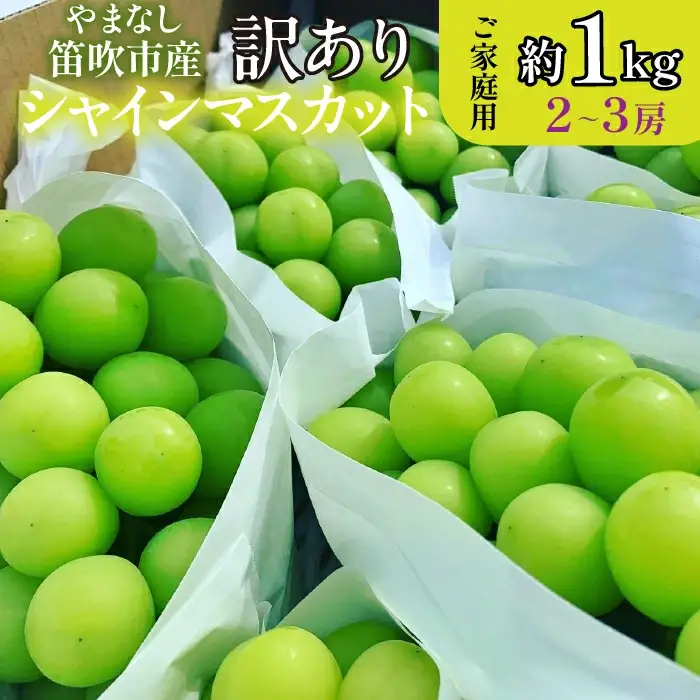 【2026年発送★先行予約】山梨県笛吹市産 シャインマスカット 優等品 約1kg 2～3房 【ご家庭用】 105-025-26y