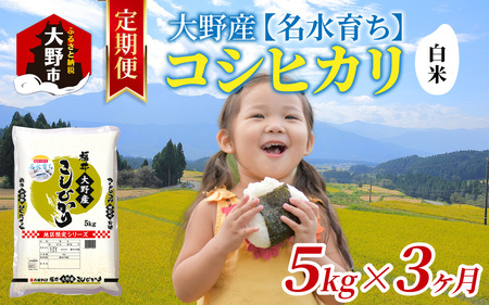 【3ヶ月定期便】【令和7年産】大野産コシヒカリ（白米）5kg×3回 計15kg【大野ブランド米 名水育ち】[D-097001]