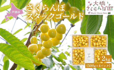 【 先行受付 】さくらんぼ スタックゴールド黄 2kg（500g×4パック）サクランボ 黄 大橋 芦別 希少 大容量 果物類 フルーツ さくらんぼ チェリー 