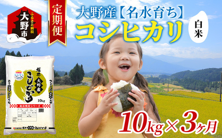 【3ヶ月定期便】【令和7年産】大野産コシヒカリ（白米）10kg×3回 計30kg【大野ブランド米 名水育ち】[G-097001]