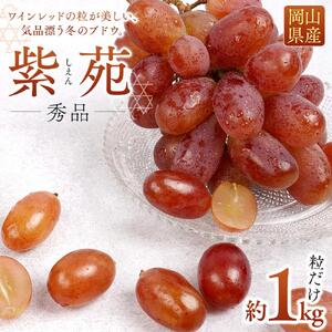 ぶどう 2026年  紫苑 しえん 粒だけ 約1kg  家庭用 ギフト 農林大臣賞2回受賞  贈答用 贈り物 岡山 果物 フルーツ  採りたて発送 農家直送 数量限定 新鮮 10月上旬から発送
