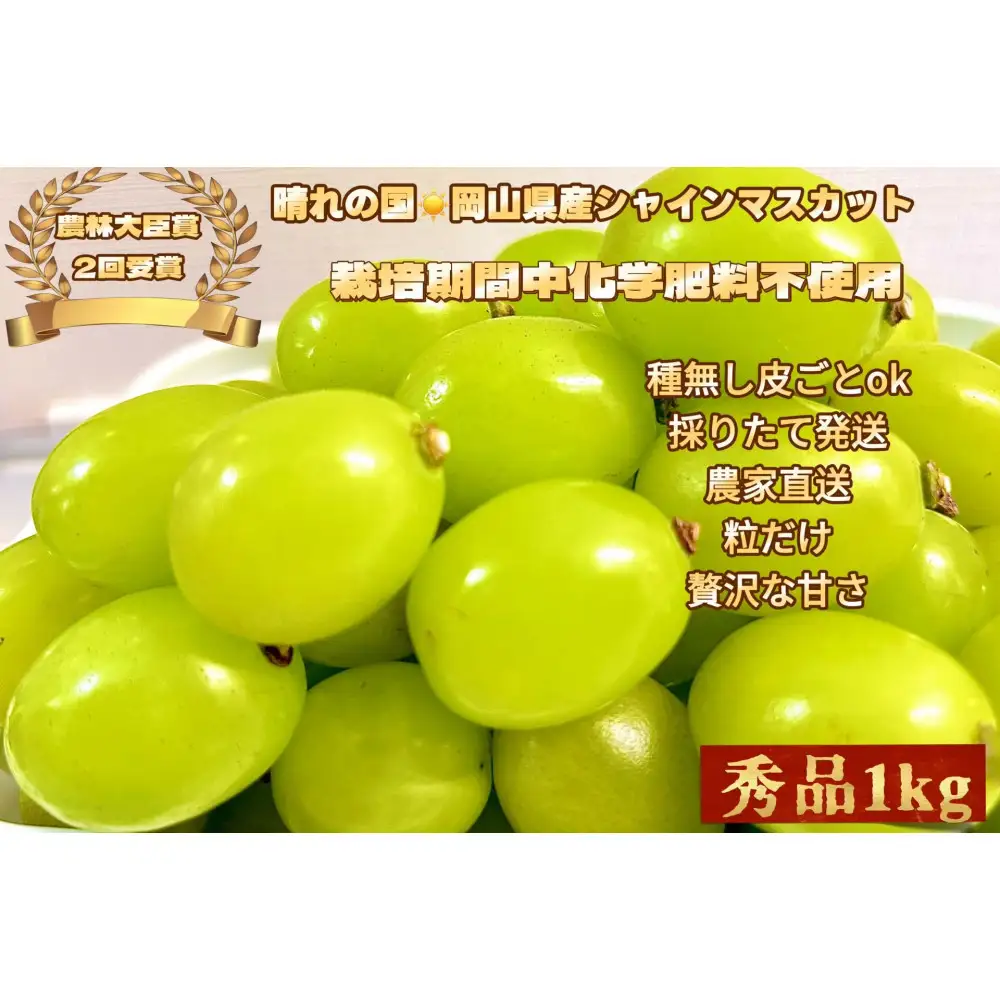 ぶどう2026年  シャインマスカット 秀品 粒だけ 約1kg  家庭用  農林大臣賞2回受賞  岡山 果物 フルーツ  採りたて発送 農家直送 数量限定 新鮮  2026年6月下旬から発送
