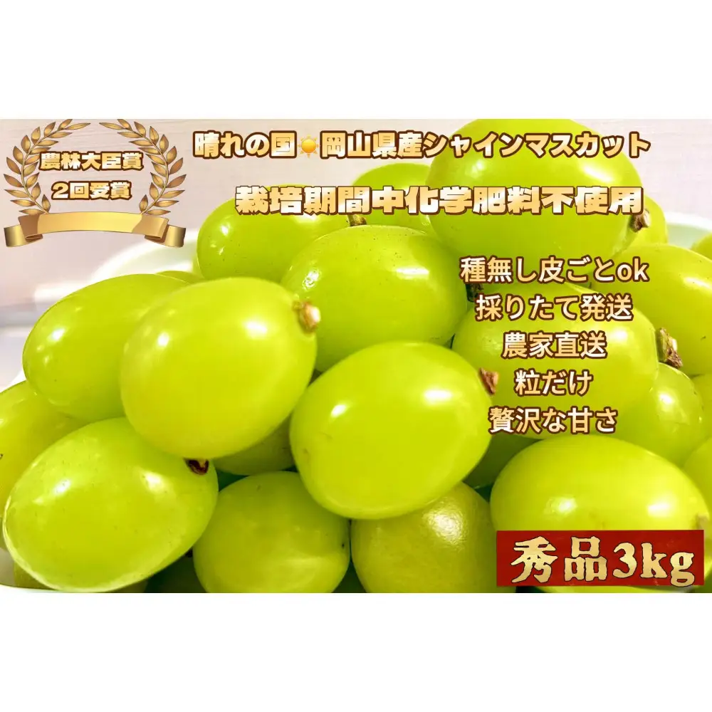 ぶどう 2026年  シャインマスカット 秀品 粒だけ 約3kg  家庭用  農林大臣賞2回受賞   岡山 果物 フルーツ  採りたて発送 農家直送 数量限定 新鮮 2026年6月下旬から発送