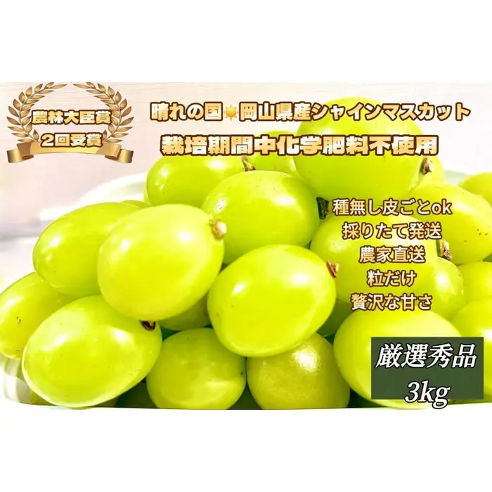 ぶどう 2026年  シャインマスカット 厳選 秀品 粒だけ 約3kg  家庭用 農林大臣賞2回受賞  岡山 果物 フルーツ  採りたて発送 農家直送 数量限定 新鮮 7月上旬から発送