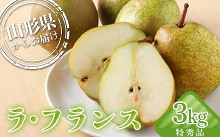山形県産 厳選ラ・フランス 特秀品 3kg 化粧箱（8～10玉入り）《先行予約2026年11月発送開始》 なし ナシ 梨 デザート フルーツ 果物 くだもの 果実 食品 山形県 FSY-2713