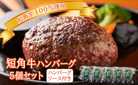 短角牛100％使用！ ハンバーグ 5個 ハンバーグ 国産ハンバーグ 惣菜 温めるだけ 冷凍 ソース付き はんばーぐ もりおか短角牛 ブランド牛 ハンバーグ はんばーぐ 小分け 個包装 冷凍 hamburg 岩手県 盛岡市 パイオニアファーム 株式会社トゥレイス