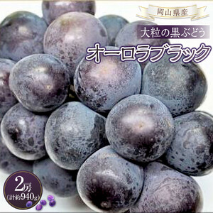ぶどう 2026年 岡山県産 オーロラブラック 2房 計約940g