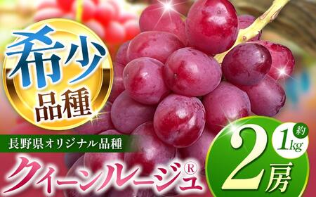 【2026年先行予約】 クイーンルージュ® 2房 【9月下旬以降発送予定】 