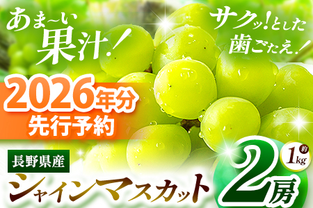 【2026年先行予約】絶品！シャインマスカット 2房【9月下旬～11月下旬にかけて順次発送予定】
