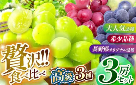 【2026年先行予約】 シャインマスカット・ナガノパープル・クイーンルージュ® 3房セット 【9月中旬以降発送予定】