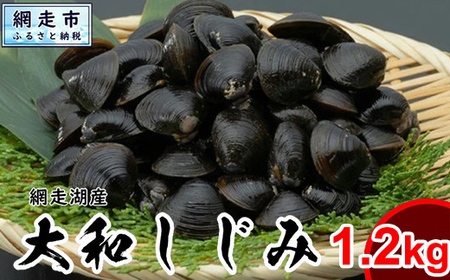 【先行予約】網走湖産 天然大粒 大和しじみ 1.2kg ※着日指定不可（2026年5月20日以降発送予定）  ABX072