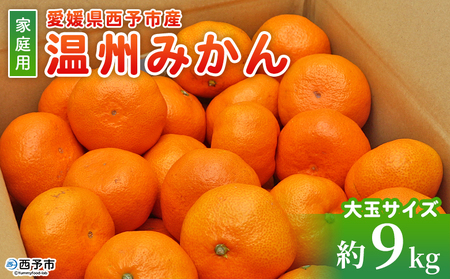 先行予約＜愛媛県西予市産 温州みかん 大玉サイズ 家庭用 約9kg＞ 愛媛県産 西宇和 大玉 大きめ 家庭用 果物 フルーツ 柑橘 うんしゅうみかん ウンシュウミカン オレンジ ミカン 蜜柑 訳あり 小林果園 愛媛県 西予市 【常温】『2026年11月上旬～12月中旬迄に順次出荷予定』OKE0002