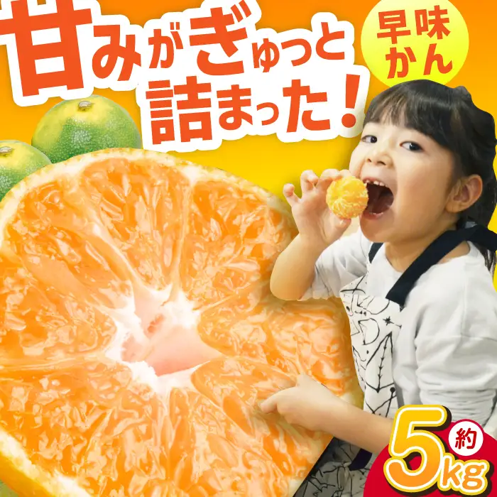 【★先行予約★ 2026年9月下旬より発送】早味かん 約5kg / みかん 蜜柑 果物 フルーツ[AFAB075]