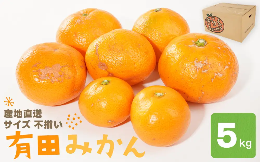 産地直送 有田みかん サイズ 不揃い 約5kg 喜楽farms 【2026年11月以降順次発送】
