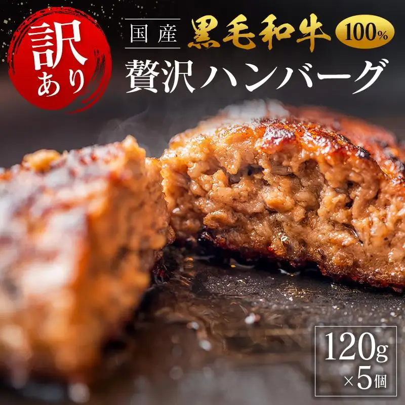 「訳あり」黒毛和牛専門店の国産黒毛和牛100％の贅沢ハンバーグ 5個