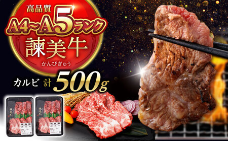 【お中元対応可】【特Aのブランド米で育てた】諫美牛 カルビ 500g(250g×2) / 牛肉 ぎゅうにく 和牛 牛 肉 国産 かるび 焼肉 やきにく / 諫早市 / 株式会社土井農場 [AHAD091]