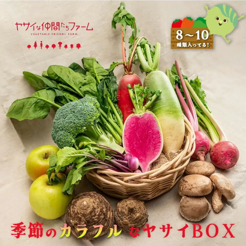 季節のカラフルなヤサイBOX（8～10種類）　【11218-0770】