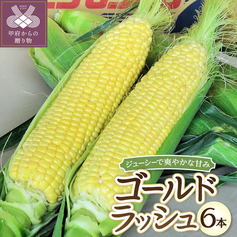 〈2026年度配送分〉とうもろこし「ゴールドラッシュ」 6本（2026年6月上旬～下旬にかけて順次配送予定）