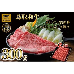 鳥取和牛オレイン55　赤身しゃぶしゃぶすき焼き　300g  1272|和牛