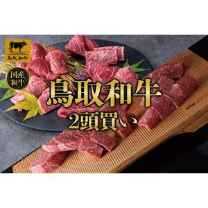 【定期便】鳥取和牛2頭買い 12か月定期便  TB1