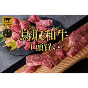 【定期便】鳥取和牛1頭買い 12か月定期便  TB3